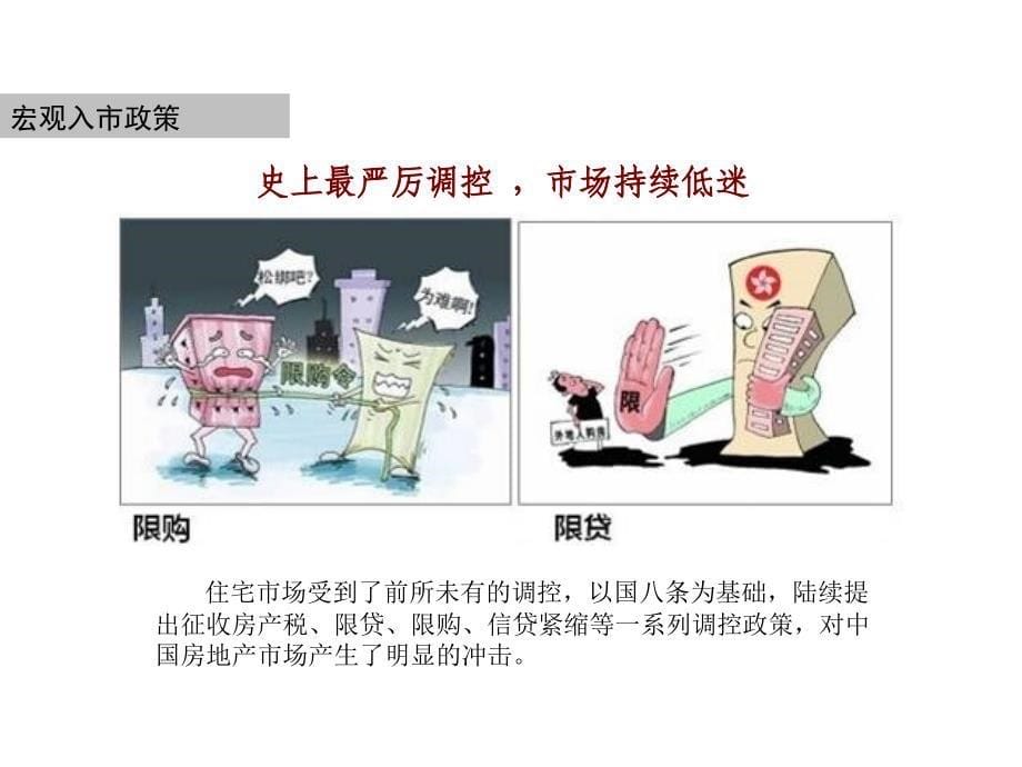 武汉宝安地产南湖驾校地块定位及规划策略建议67P_第5页