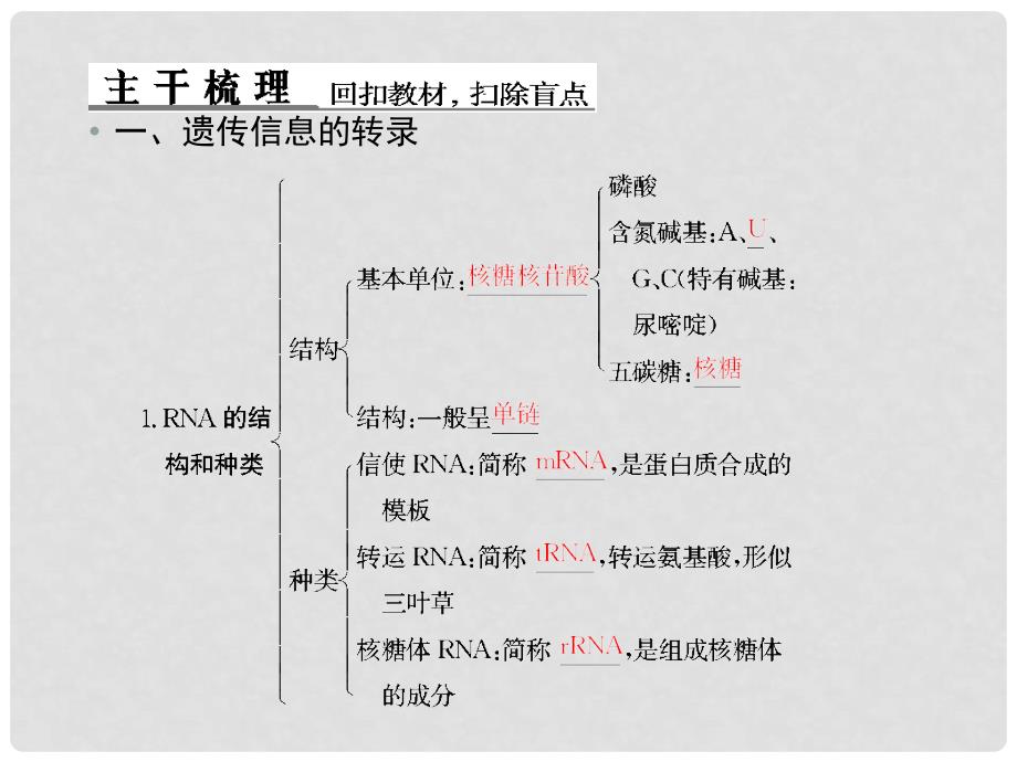 高考生物总复习 24基因的表达配套课件 新人教版必修2_第3页