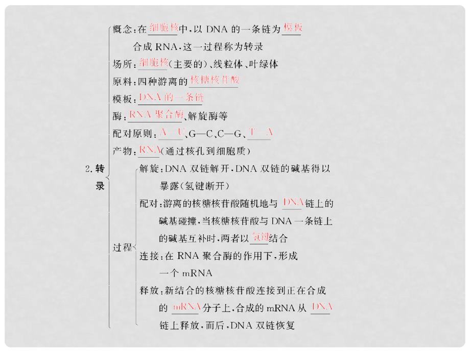 高考生物总复习 24基因的表达配套课件 新人教版必修2_第4页