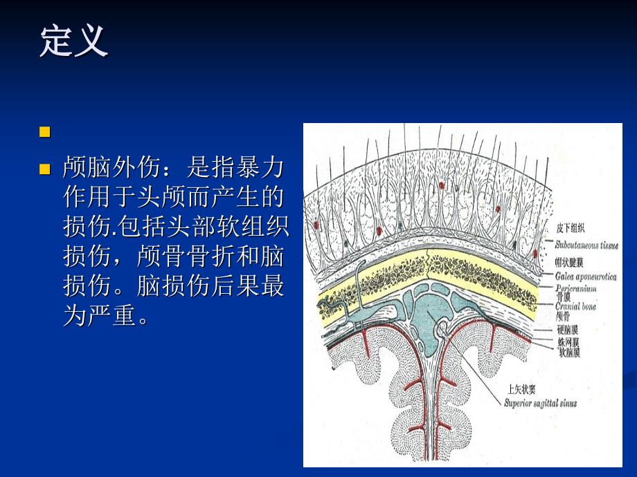 颅脑外伤的病情观察和护理【PPT】_第2页