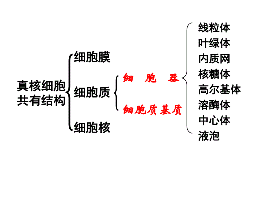 32细胞器共33张PPT_第1页