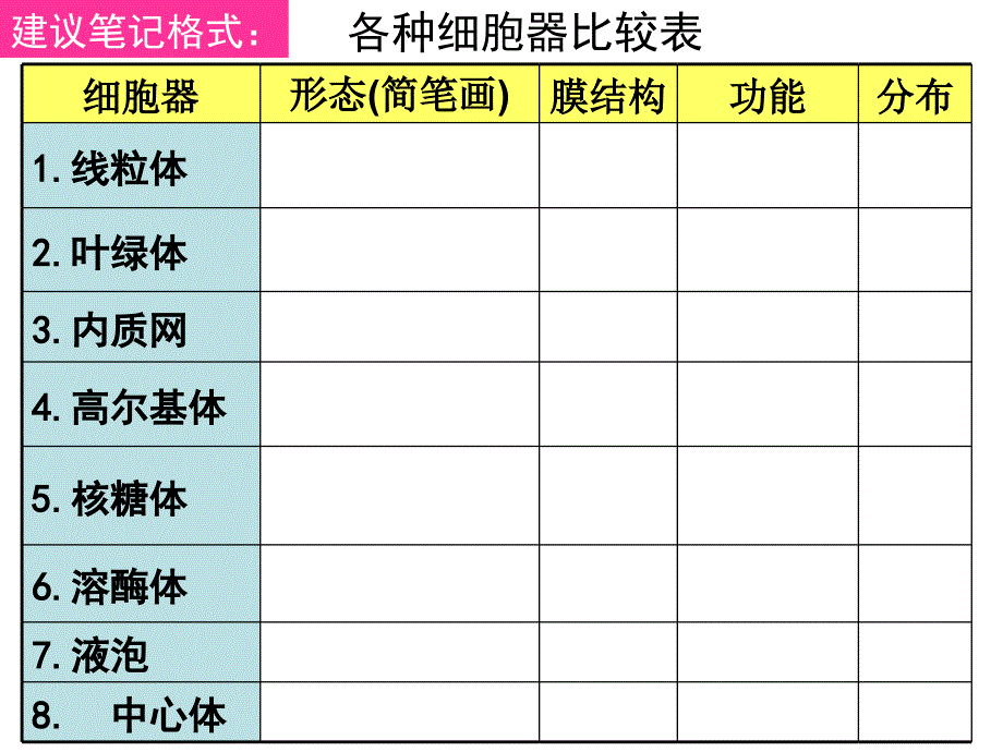 32细胞器共33张PPT_第4页