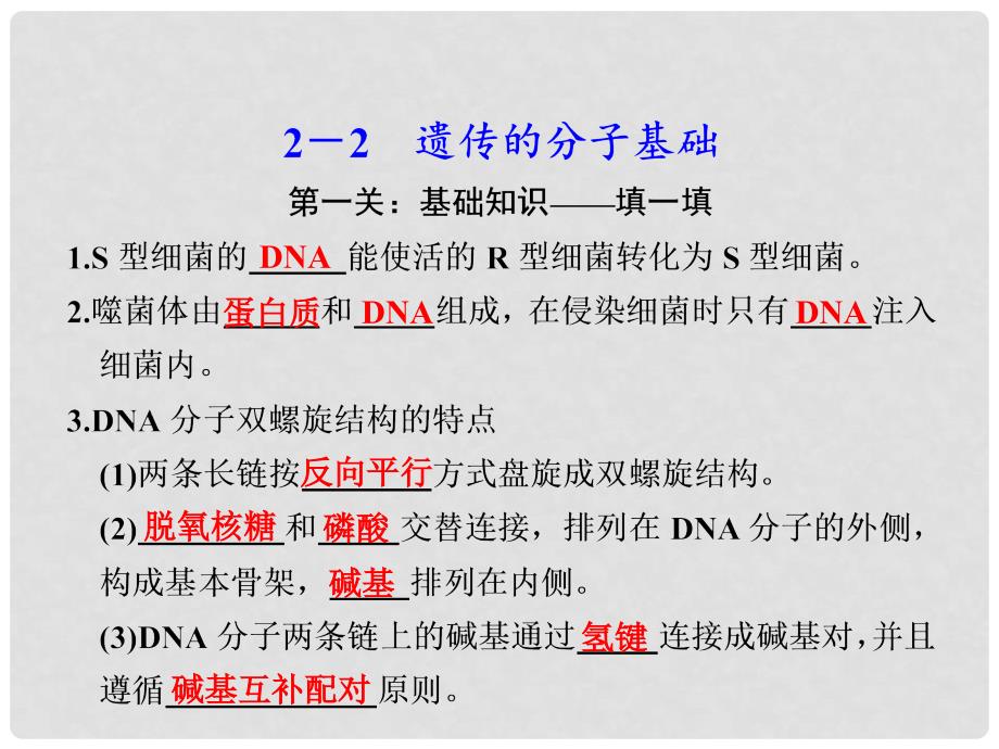 高考生物大二轮专题复习与增分策略（技能+规范+回扣）第二篇 22遗传的分子基础课件_第1页