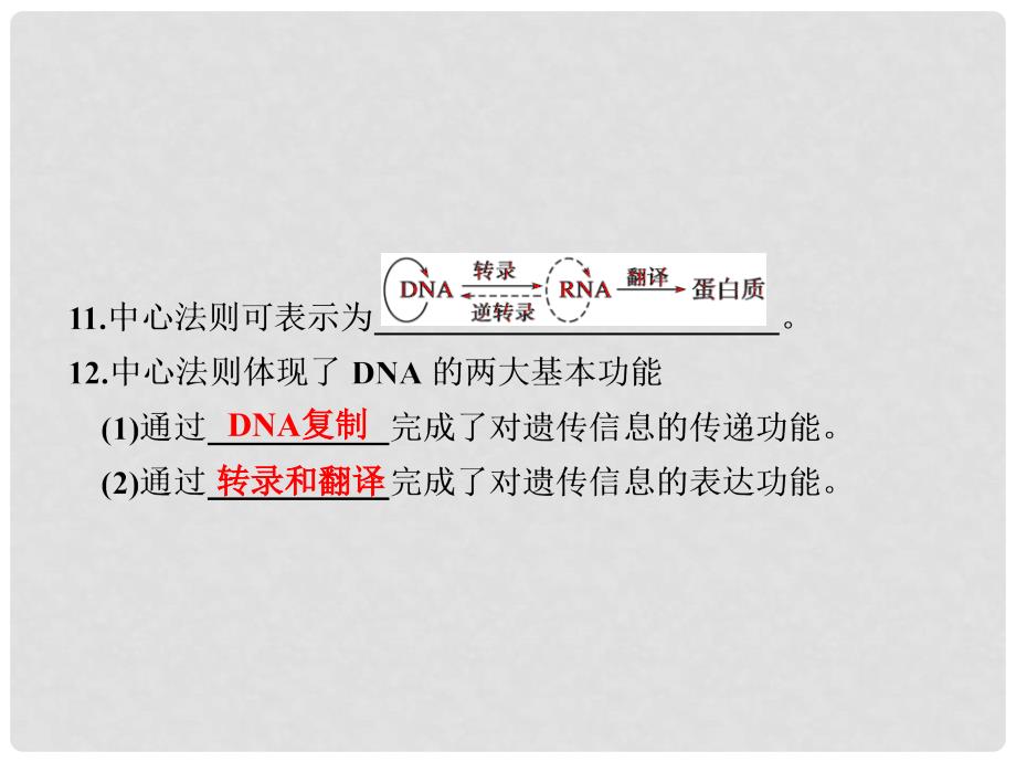 高考生物大二轮专题复习与增分策略（技能+规范+回扣）第二篇 22遗传的分子基础课件_第3页