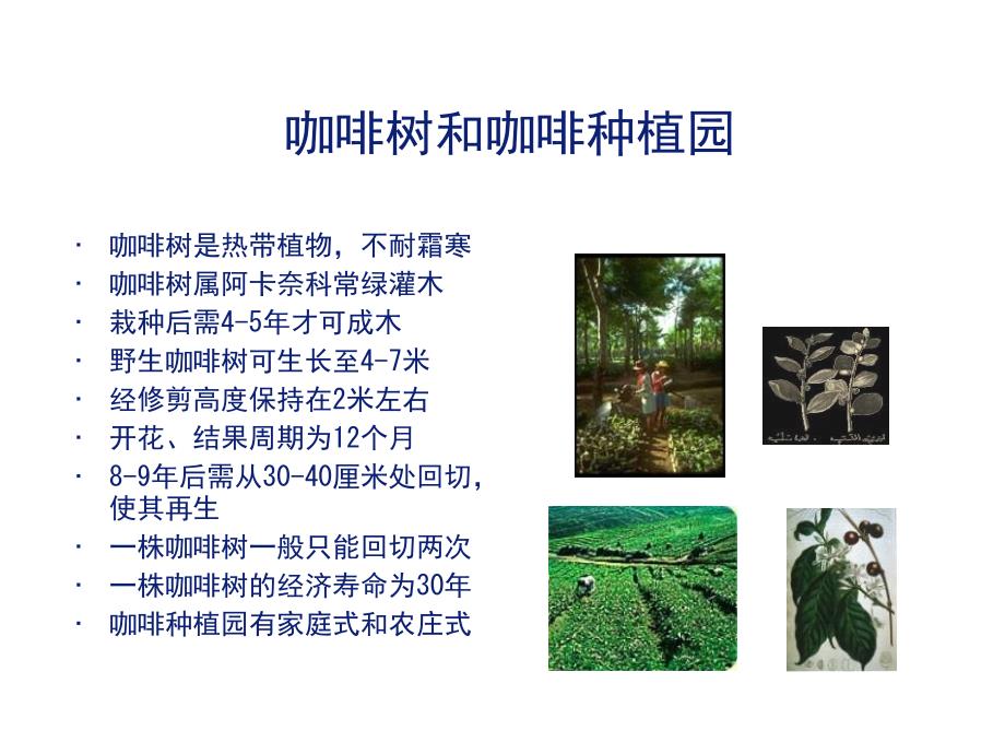 咖啡知识理论培训资料.ppt_第4页