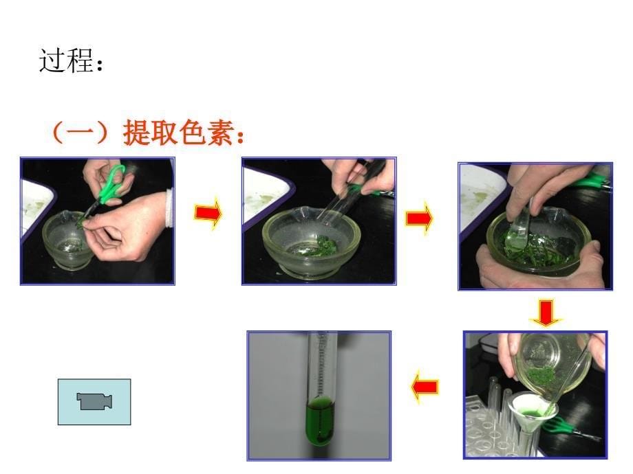 一捕获光能色素和结构_第5页