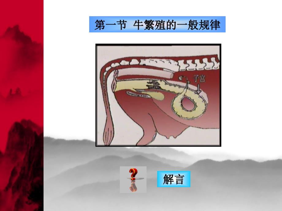 牛的繁殖技术_第2页