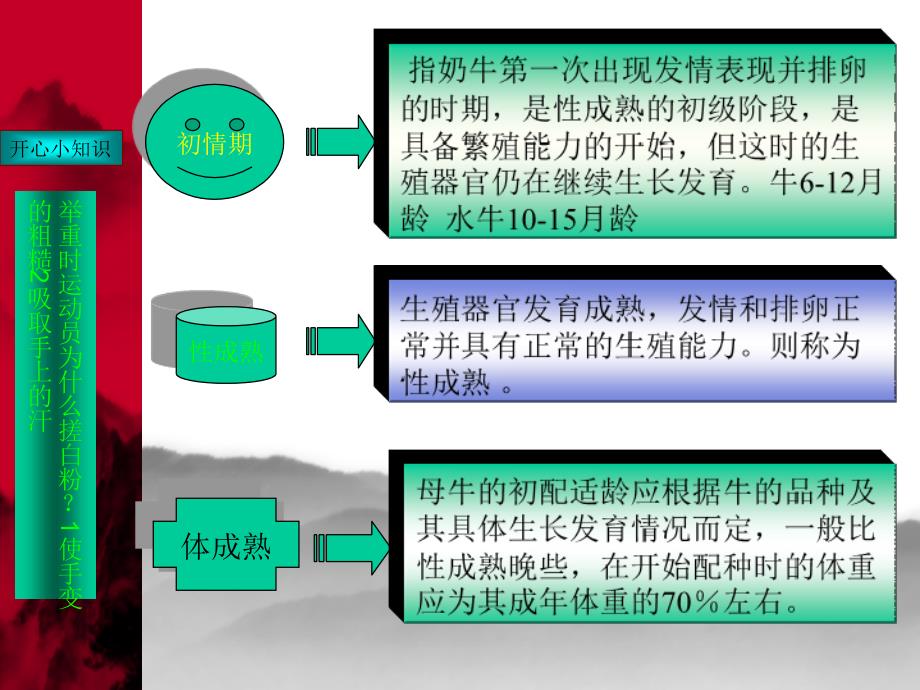 牛的繁殖技术_第4页