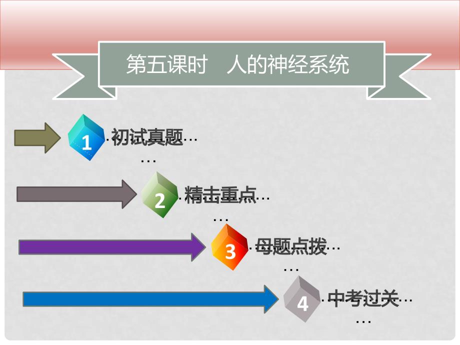 广东省中考生物 模块四 生物圈中的人 第五课时 人的神经系统课件_第2页