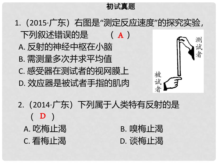 广东省中考生物 模块四 生物圈中的人 第五课时 人的神经系统课件_第3页