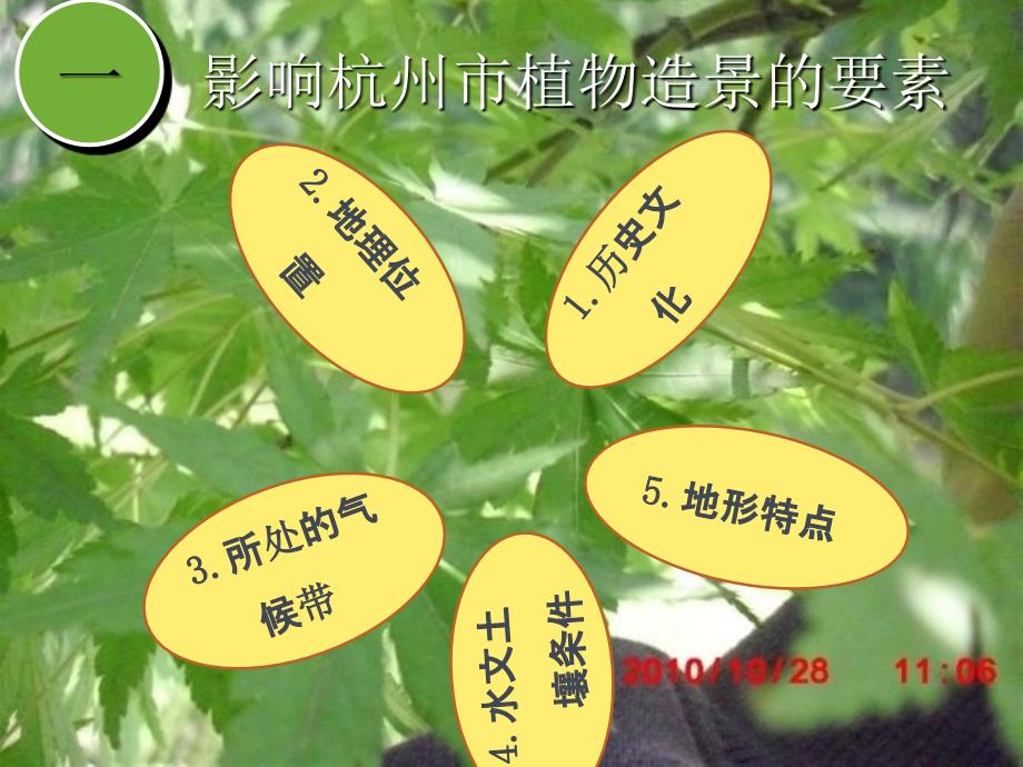 杭州市植物造景调研报告ppt课件_第3页