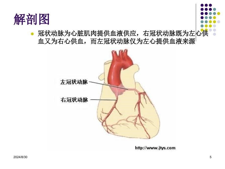 PCI术后并发症原因_第5页