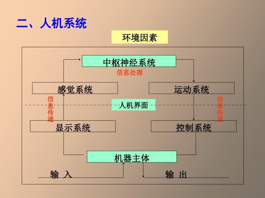 人体生理特性_第3页