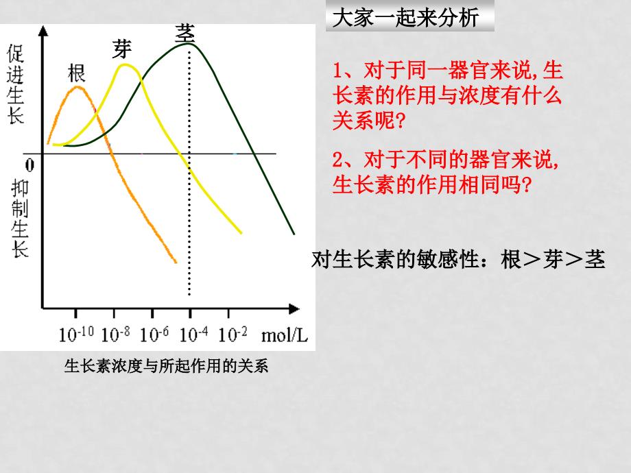 高中生物生长素的发现3（宁波市优质课评比课件）课件人教版必修三_第4页