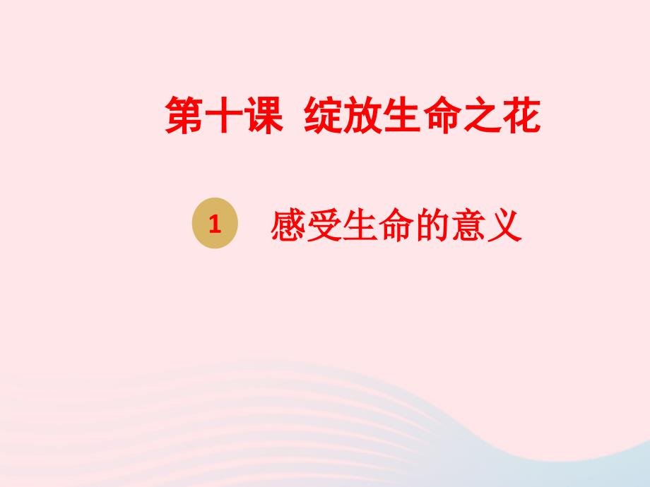 最新第四单元生命的思考第十课绽放生命之花第1框感受生命的意义课件1_第2页