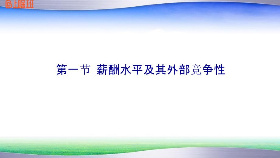 薪酬技巧名企薪酬策略结构原理与设计方法_第1页