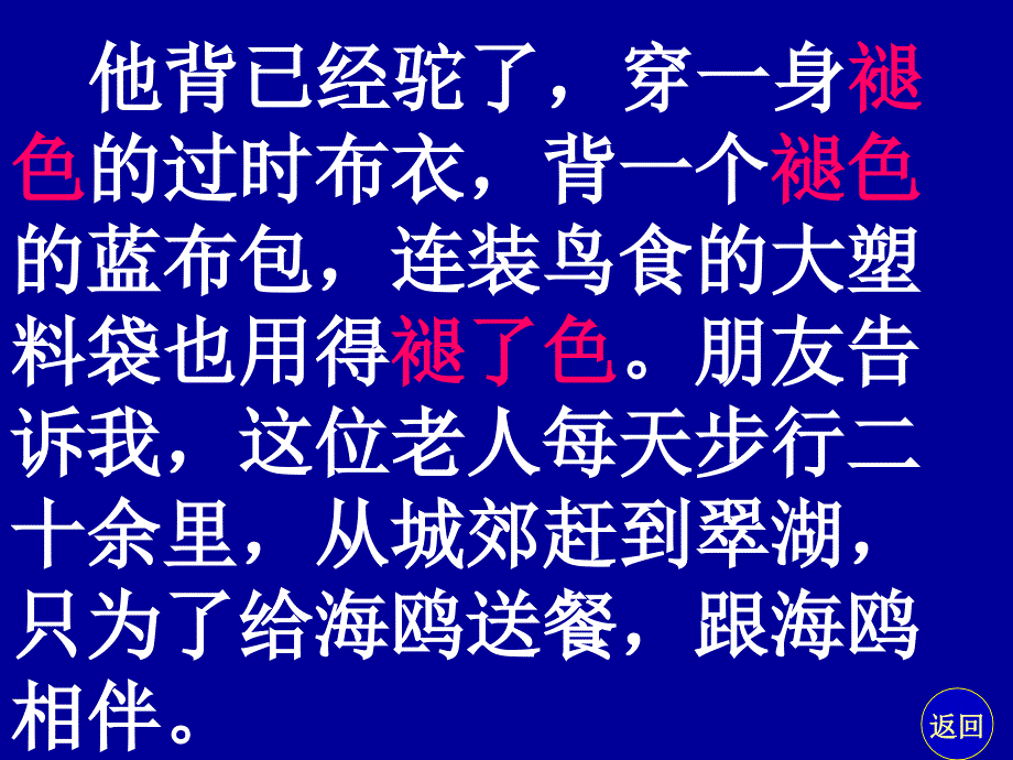 老人与海鸥教学课件薛文娟_第3页