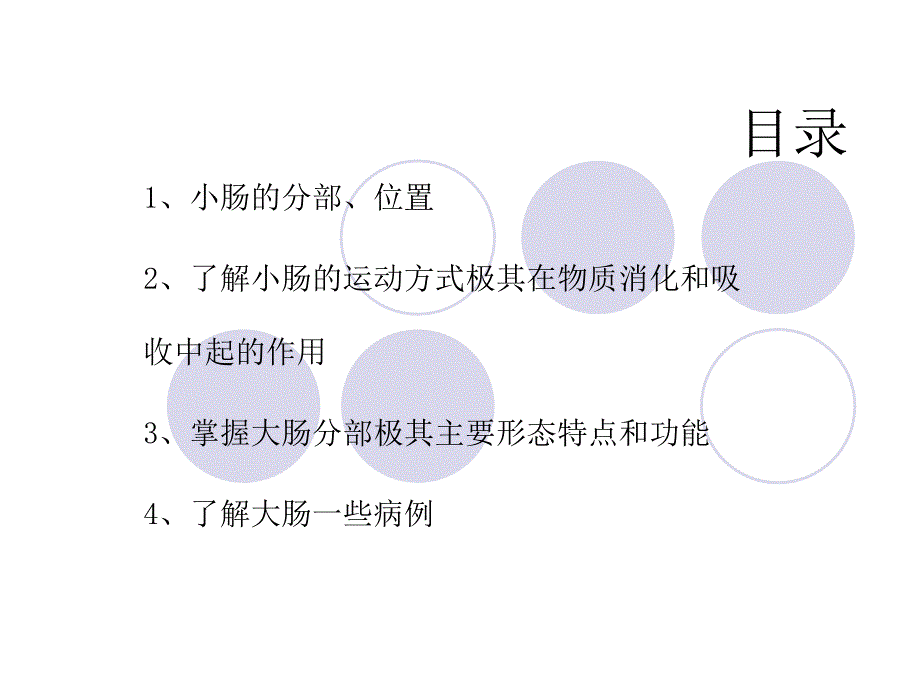 《小肠大肠》PPT课件_第1页