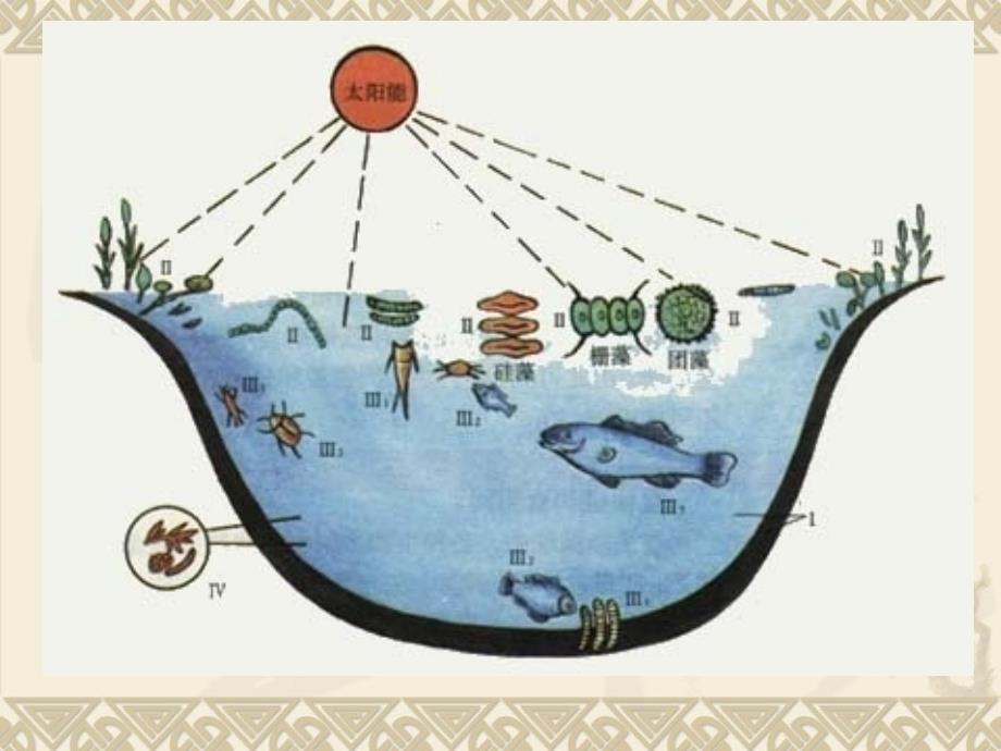 五年级上册科学课件－1.6做一个生态瓶 ｜教科版(共20张PPT)_第3页