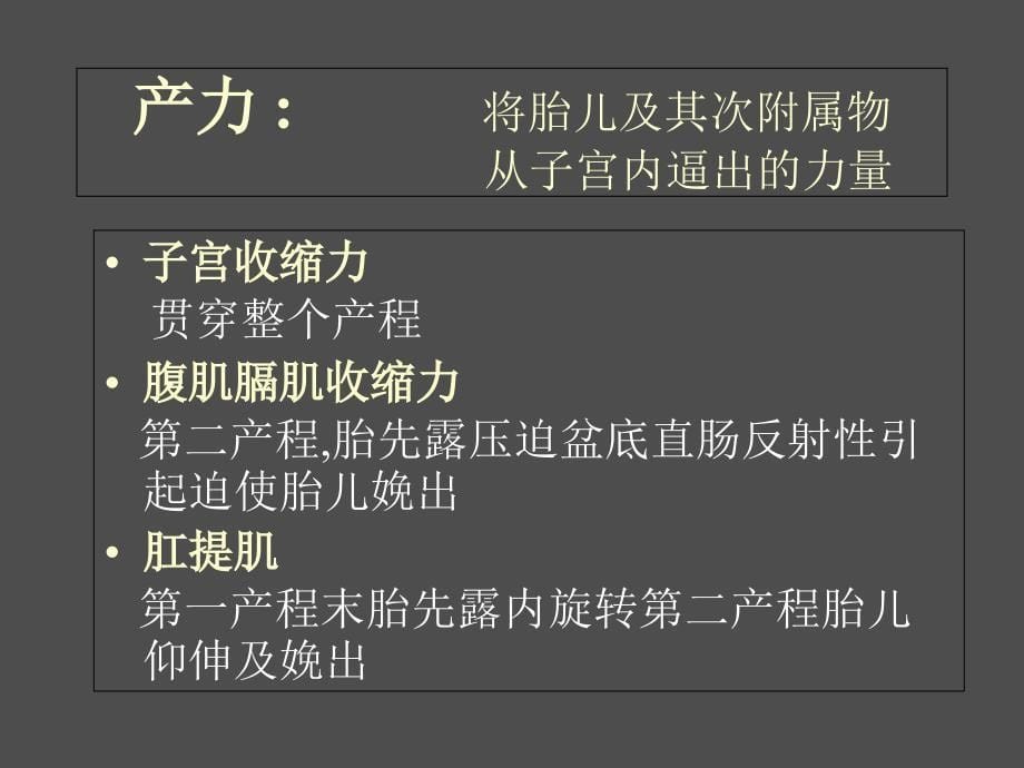 《正常分娩杨丹》PPT课件_第5页