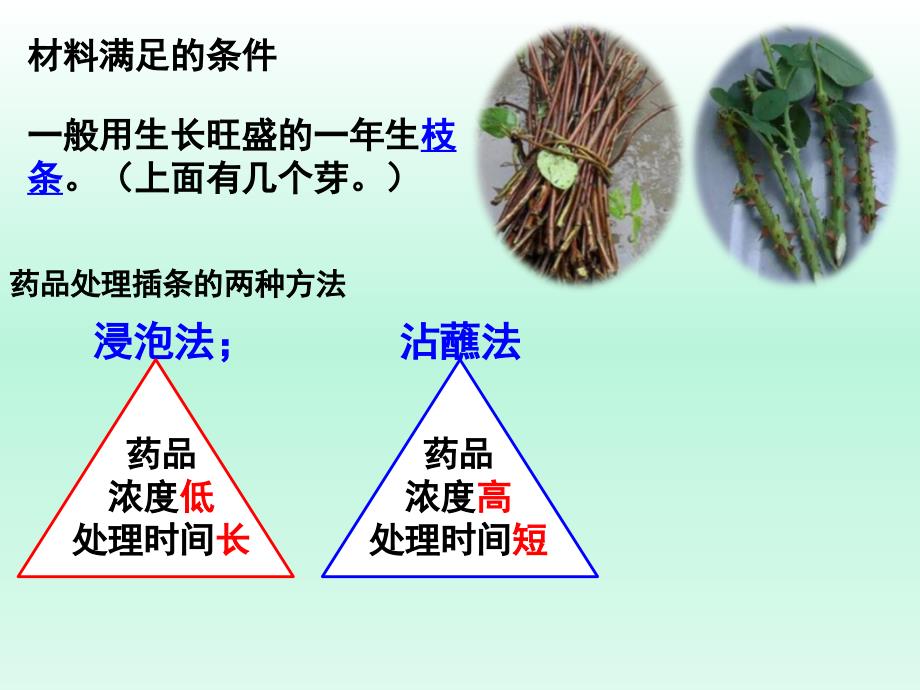 2.生长素的生理作用2_第3页