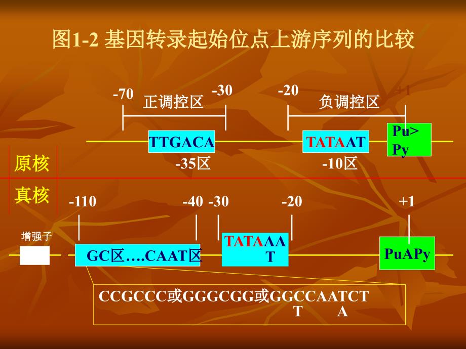 蛋白质工程与蛋白质组研究_第4页