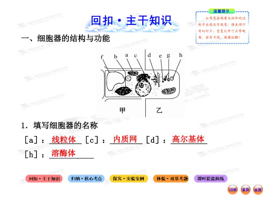 高中生物全程复习方略配套课件1.2.3细胞质_第2页