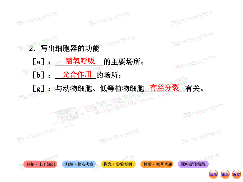 高中生物全程复习方略配套课件1.2.3细胞质_第3页