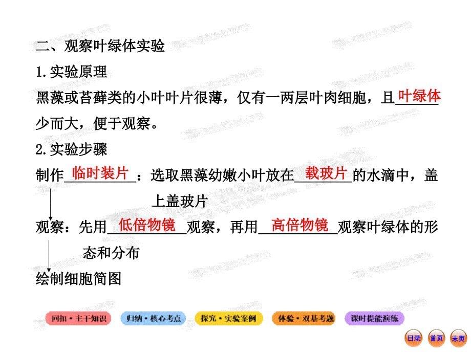 高中生物全程复习方略配套课件1.2.3细胞质_第5页