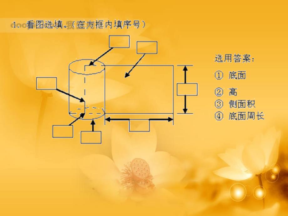 圆柱的表面积_第2页