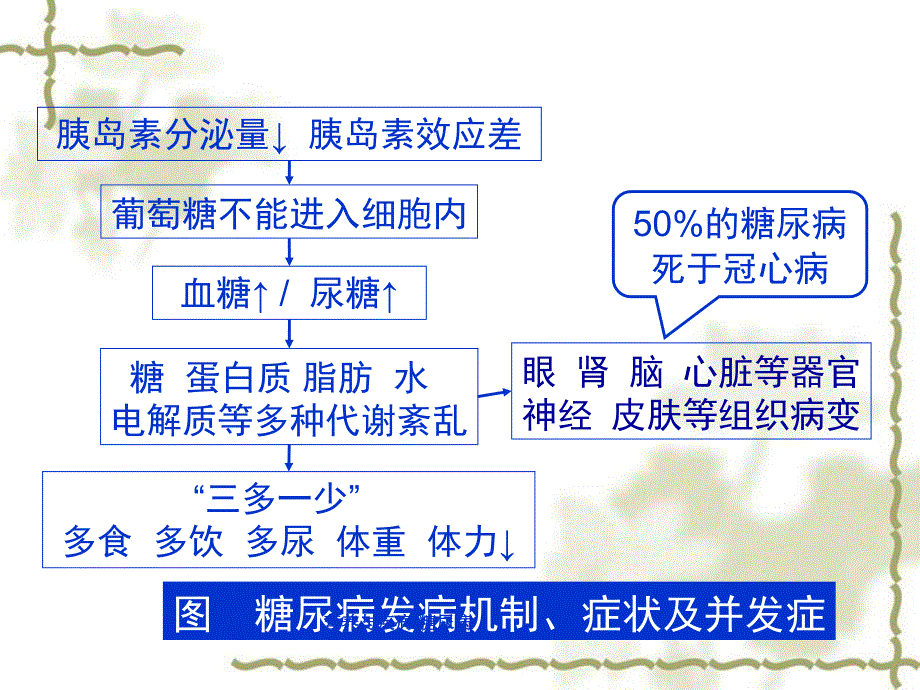 营养与疾病糖尿病课件_第3页