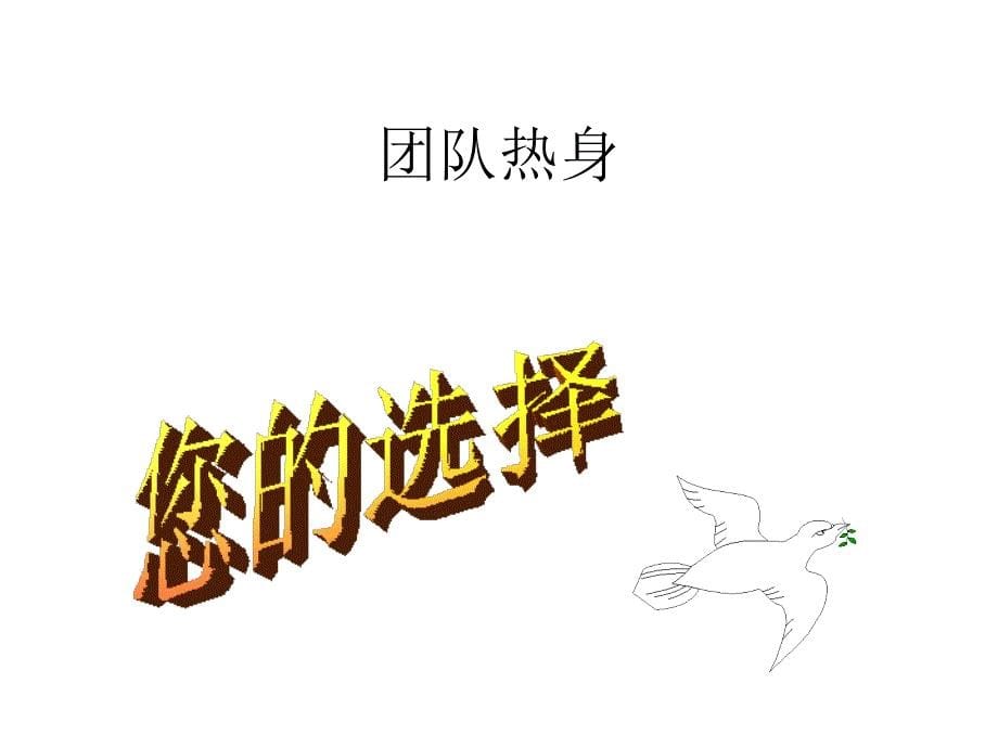 团队使命与团队建设PPT108页_第5页