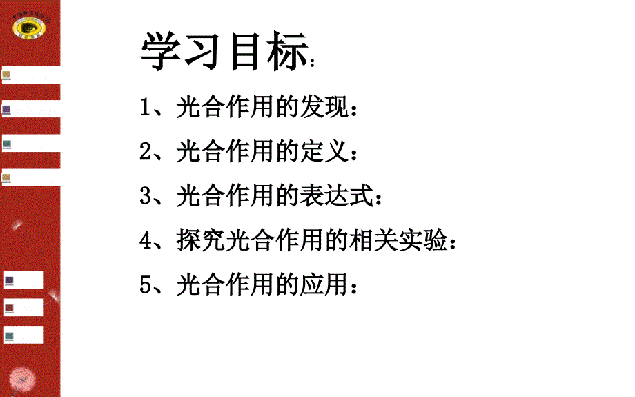 第九讲光合作用_第2页