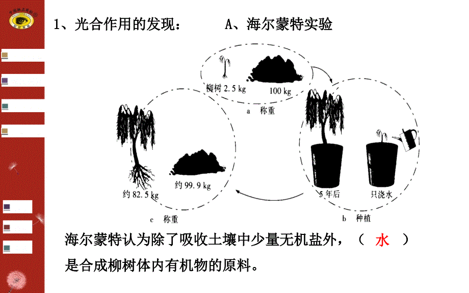 第九讲光合作用_第3页