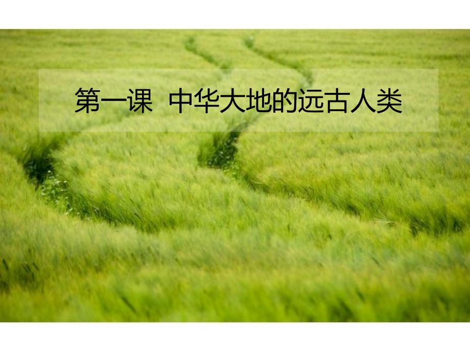 7-1中华大地的远古人类_第1页