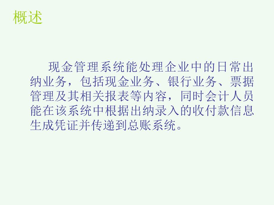 财务软件实验现金管理PPT课件_第2页