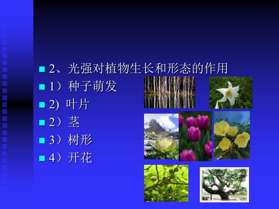 园林植物与生态环境的关系.ppt_第4页