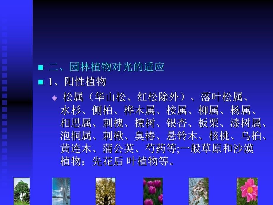 园林植物与生态环境的关系.ppt_第5页