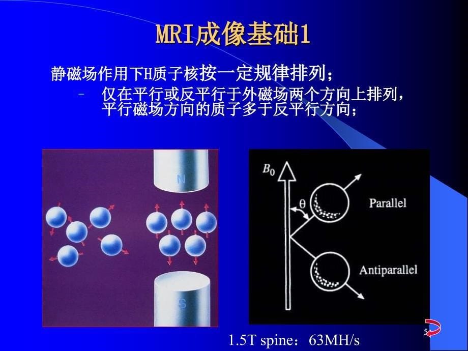 MR读片基本知识ppt课件_第5页