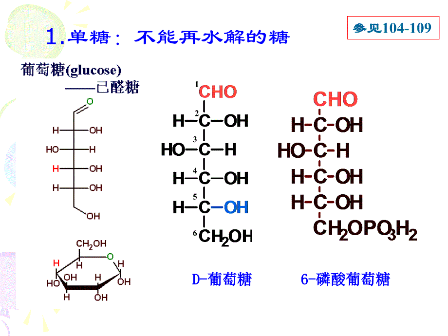 生物化学糖类与糖代谢课件_第4页