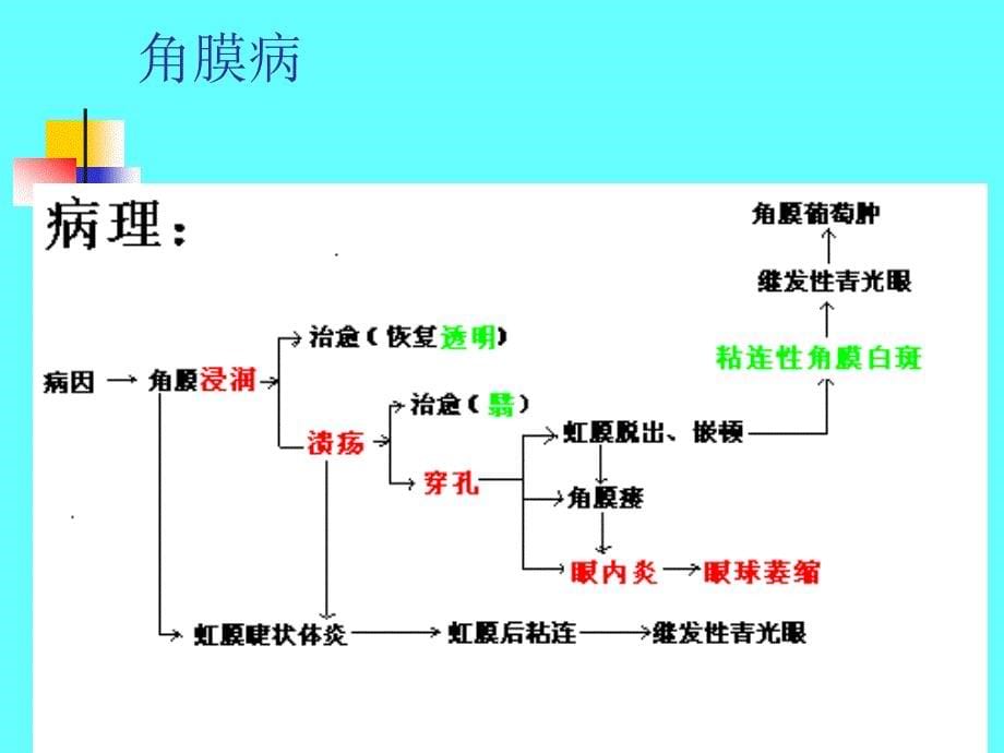 《角膜病与巩膜病》PPT课件_第5页