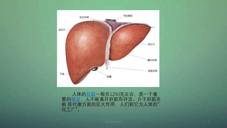 肝脏病人麻醉ppt课件_第2页