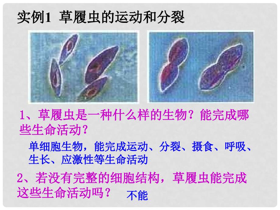 云南省西盟佤族自治县第一中学高考生物总复习《1.1 从生物圈到细胞》课件1 新人教版必修1_第4页