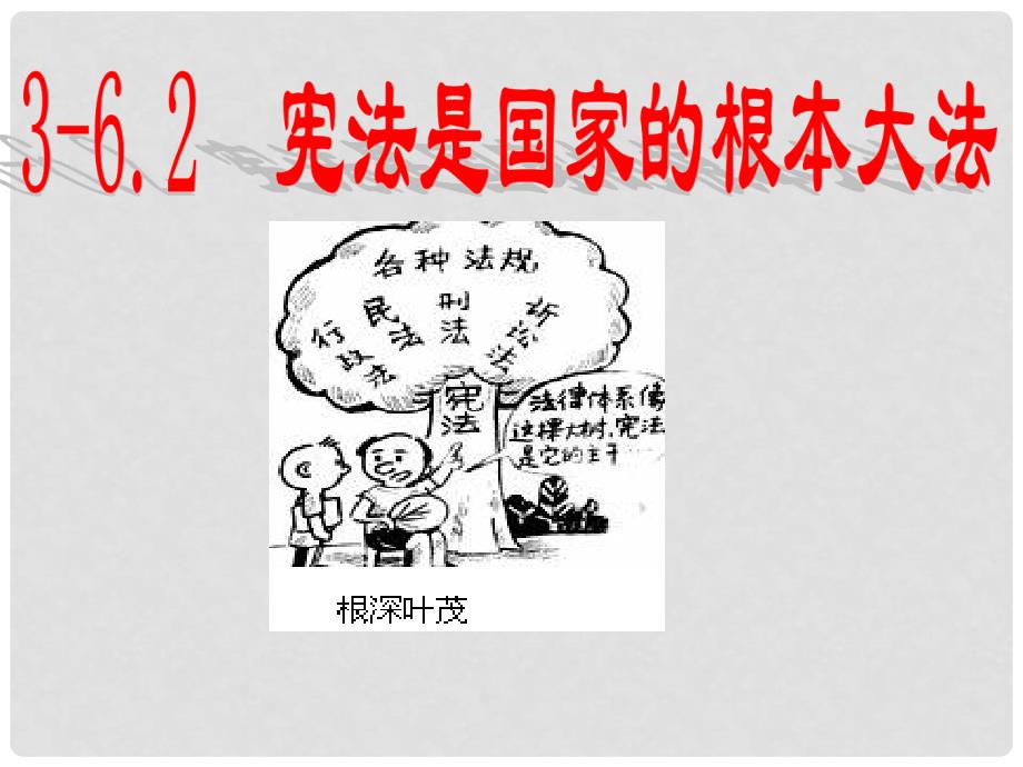 九年级政治全册 第三单元 融入社会 肩负使命 第六课 参与政治生活 第二框《宪法是国家的根本大法》课件 新人教版_第1页