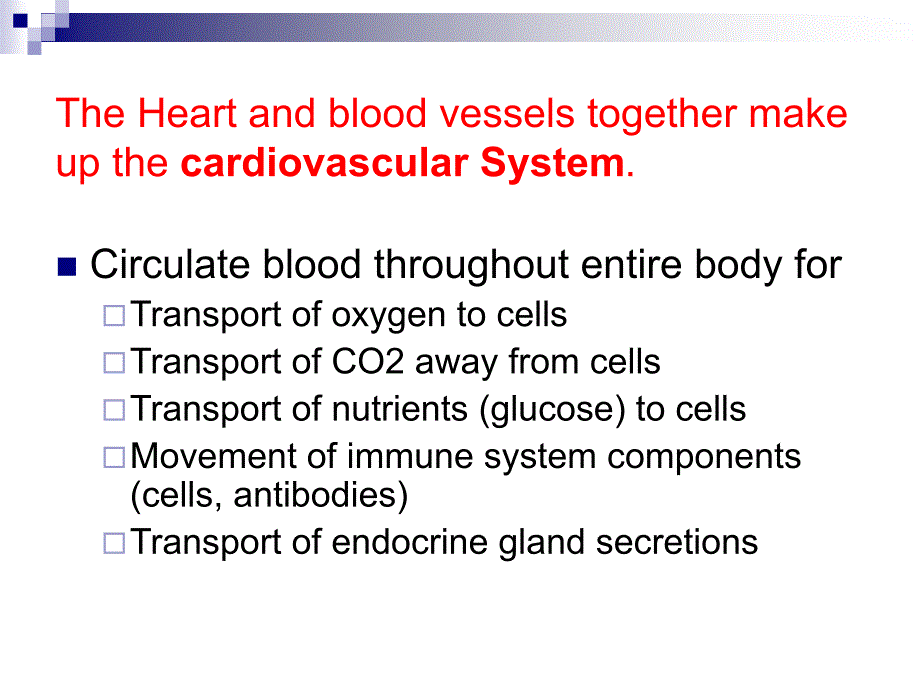 医学英语心脏_第3页