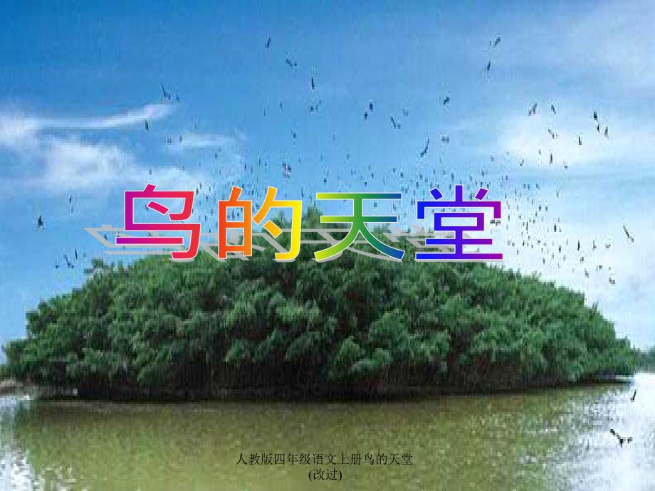 人教版四年级语文上册鸟的天堂(改过)课件_第1页