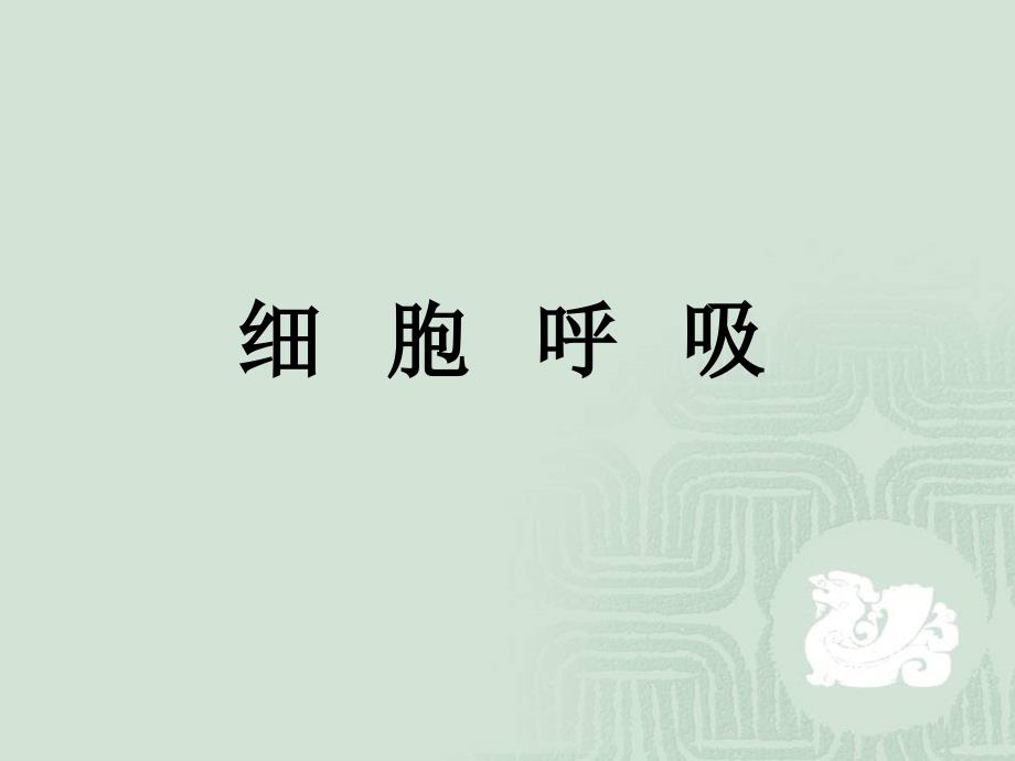 生物课件--细胞呼吸.ppt_第1页