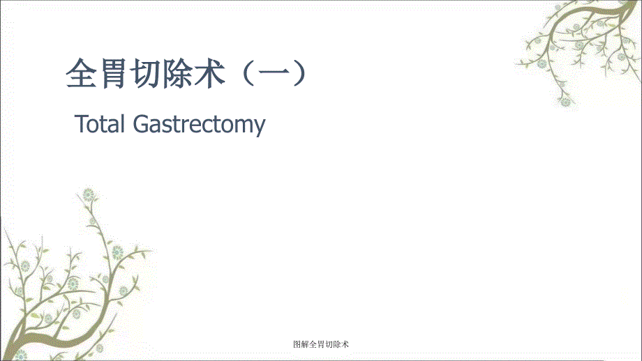 图解全胃切除术课件_第1页