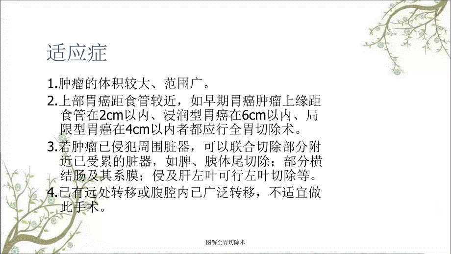 图解全胃切除术课件_第2页