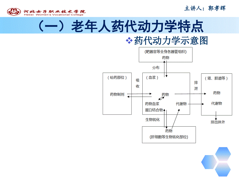 6老年人用药的护理_第3页